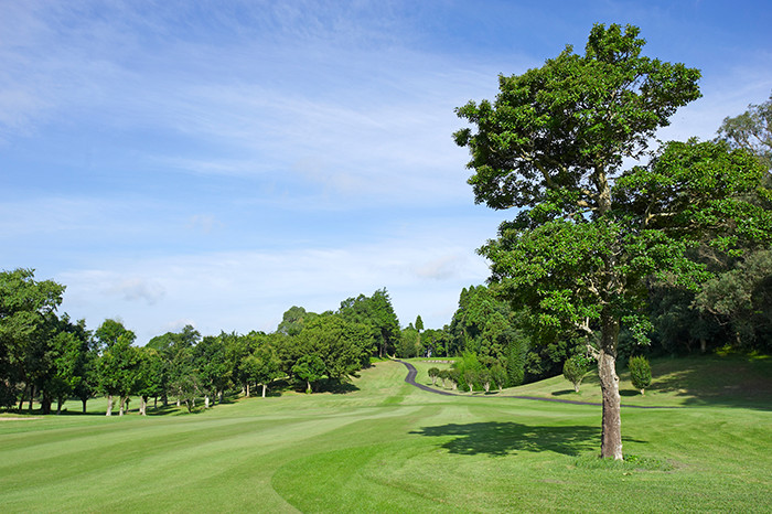 マナゴルフクラブ（平日）※4/25～5/6使用不可
