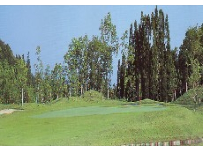 カメリアヒルズカントリークラブ