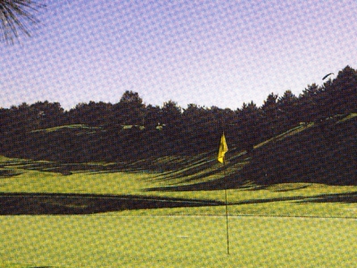 太平洋クラブ有馬コース