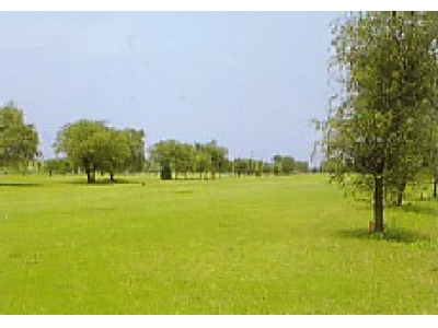 朝霞パブリックゴルフ場